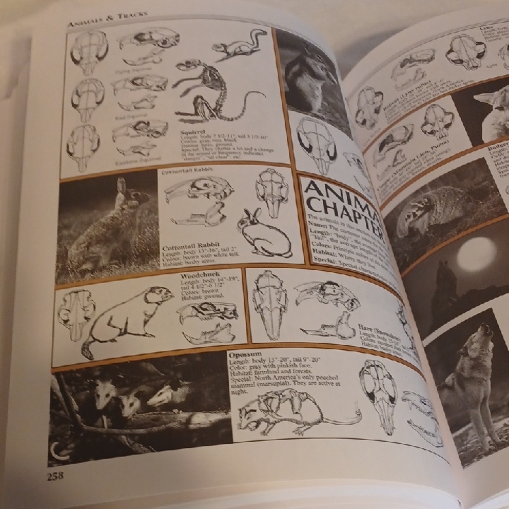 Camping & Wilderness Survival Book The Ultimate Outdoor Book - Picture 5 of 12